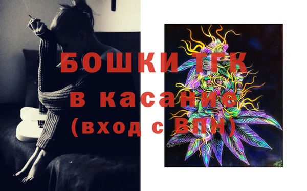 ГАЛЛЮЦИНОГЕННЫЕ ГРИБЫ Алексин